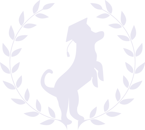Nur-Logo2