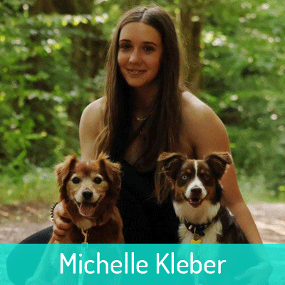 Michelle-Kleber